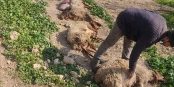 Israel-army-Palestinian