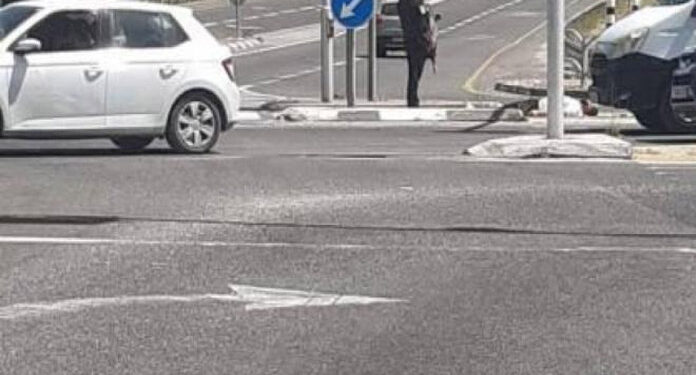 صیہونی فوج نے ایک اور فلسطینی شہری کو شہید کردیا