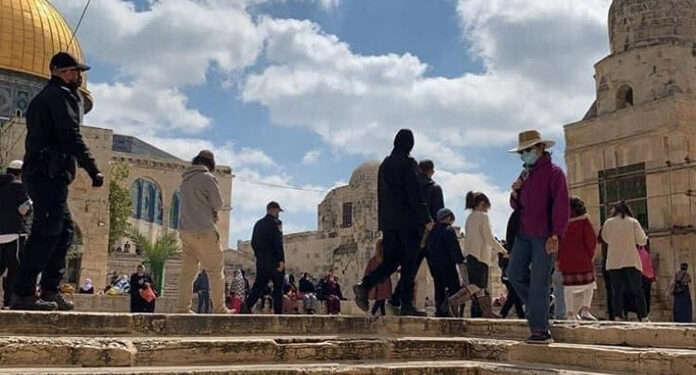 مذہبی جنونی آباد کاروں کے ہاتھوں مسجد اقصٰی کی بے حرمتی  