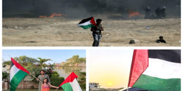 اسرائیل کےخلاف عالمی شہرت یافتہ کرکٹر آفریدی بھی میدان میں آگئے