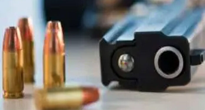 صہیونی فوج کا اردنی سرحد سے اسلحہ اسمگلنگ کوشش ناکام بنانے کادعویٰ