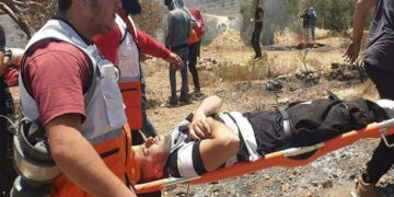 رواں ماہ صیہونی فوجیوں نے کم سے کم 26 فلسطینیوں کو بلا جواز تشدد کا نشانہ بنایا