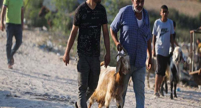 غزہ کے شہریوں کی عید کے بعد عیدالضحٰی بھی سوگوار