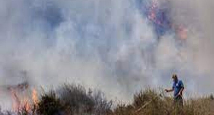 مقبوضہ فلسطین: غزہ میں اسکول اور رہائشی عمارتوں پراسرائیلی بمباری