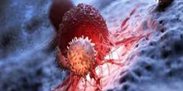 غزہ: کورونا وائرس سے ایک شخص جان بحق 69 نئے کیسز ریکارڈ