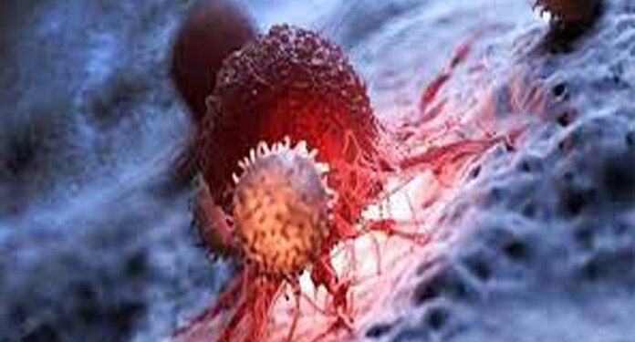 غزہ: کورونا وائرس سے ایک شخص جان بحق 69 نئے کیسز ریکارڈ