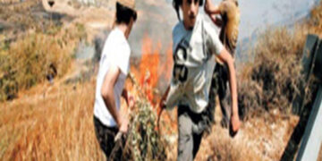 شرپسند صیہونی آبادکاروں کا فلسطینیوں کے ایک اور باغ پر حملہ