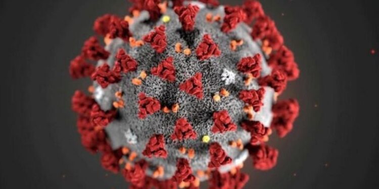 حماس نے غزہ میں کورونا کی ویکسینیشن میں اضافے کے لیے لاٹری جاری کردی