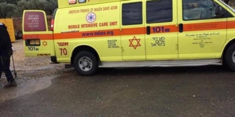 فلسطینی کار کی ٹکر سے صہیونی اہلکار ہلاک، فلسطینی گرفتار