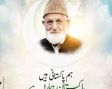 ہم پاکستانی ہیں, پاکستان ہمارا ہے!