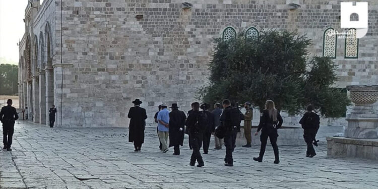 شرپسندصیہونی آبادکاروں کے قبلہ اول پر دھاوے