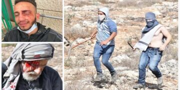 صہیونی آباد کاروں کا زیتون کی کٹائی کےدوران فلسطینیوں پر حملہ اور تشدد