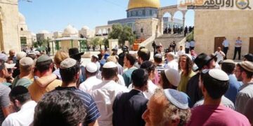 صہیونی آبادکاروں کے ہاتھوں ایک بار پھر مسجد اقصیٰ کی بے حرمتی