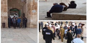 صہیونی آبادکاروں کا مسجد اقصٰی پر دھاوا، مقدسات کی بے حرمتی