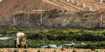 صہیونی فوج نے القدس میں فلسطینی اراضی کی کھدائی  کر ڈالی