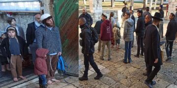 مسجد اقصیٰ پر صہیونی آبادکاروں کے منظم گروپ کادھاوا  اور اشتعال انگیزی