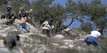 مقبوضہ فلسطین : شرپسند عناصر کےفلسطینیوں پر حملےاورتباہ کاریاں