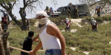 قابض ریاست میں انتہا پسندوں کا فلسطینی چرواہوں اور باغ پر حملہ