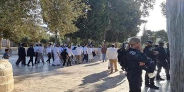 اسرائیلی شرپسندوں کے قبلہ اول پر دھاوے جاری