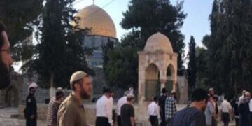 القدس: صہیونی آبادکاروں کے مسجد اقصیٰ پر دھاوؤں کا سلسلہ جاری