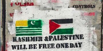 پی ٹی آئی, ایم ڈبلیو ایم معاہدہ: فلسطین و کشمیر کی حمایت پر مبنی نقاط لائق تحسین ہیں: فلسطین فاؤنڈیشن پاکستان