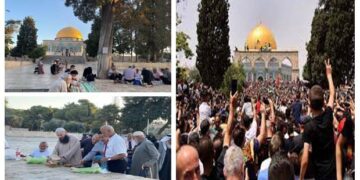 شیخ کمال الخطیب کی اپیل پرمسجد اقصیٰ میں فلسطینیوں کا ٹھاٹھیں مارتا سمندر