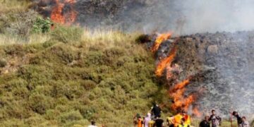 صہیونی آبادکاروں نے فلسطینیوں کی زرعی زمین کو نذر آتش کردیا