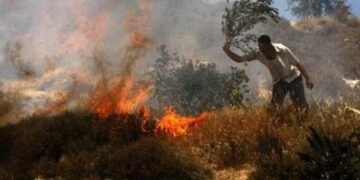 صہیونی فوجی کی سرپرستی میں آبادکاروں کا فلسطینیوں پر حملہ، متعدد زخمی