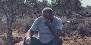 صہیونی آبادکاروں کا فلسطینیوں کے باغات پر دھاوا، سیکڑوں درخت کاٹ ڈالے