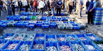 اسرائیل نے غزہ سے سی فوڈ کی مغربی کنارہ ترسیل پر پابندی لگادی