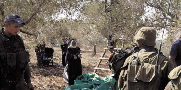 صیہونی فورسز نے فلسطینیوں کے باغ ایک بار پھر اجاڑ دیئے، سیکڑوں درخت کاٹ ڈالے