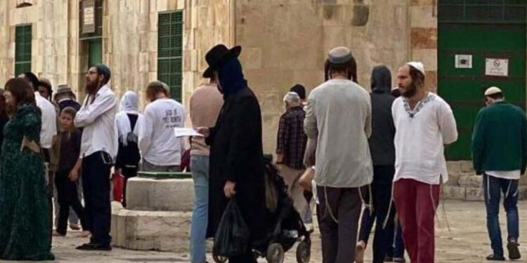 صہیونی آبادکاروں کا قبلہ اول پر دھاوا، مقدس مقامات کی بے حرمتی کی