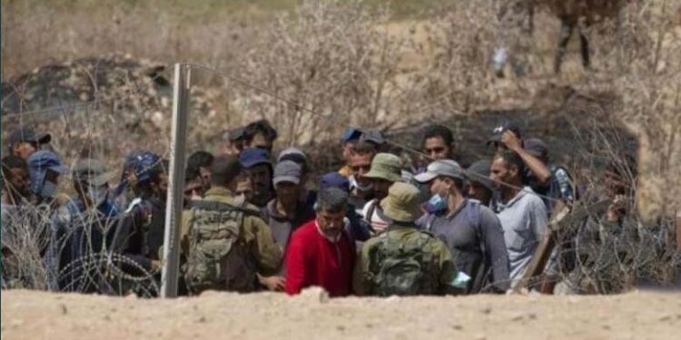 صیہونی فورسز کی فلسطینی مزدوروں پر آنسگو گیس کی شیلنگ، متعدد بے ہوش