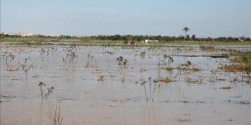 غزہ پر اسرائیلی آبی جارحیت، سیکڑوں مکانات کو نقصان