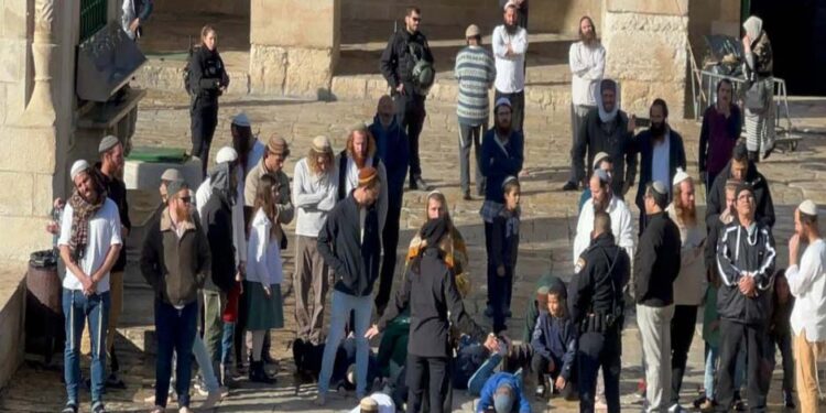 جنونی صیہونی آبادکاروں کا مسجد اقصیٰ پردھاوا، اسرائیلی پرچم لہرایا