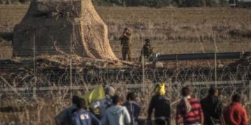 غزہ: صہیونی فورسز کی فائرنگ، دو کاشتکار زخمی