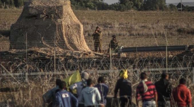 غزہ: صہیونی فورسز کی فائرنگ، دو کاشتکار زخمی