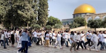 حرم القدسی میں آبادکاروں کو دھاوا بولنے کی اپیل انتہائی خطرناک ہے، فلسطین