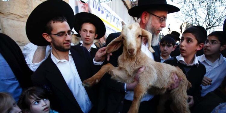 شرپسند صہیونیوں کی مسجد اقصیٰ میں قربانی کی ناکام کوشش