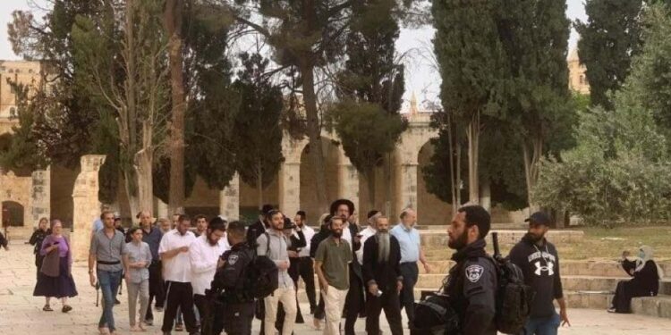 صیہونی آبادکاروں کا مسجد اقصیٰ پر دھاوا،قبلہ اول کی بے حرمتی کی