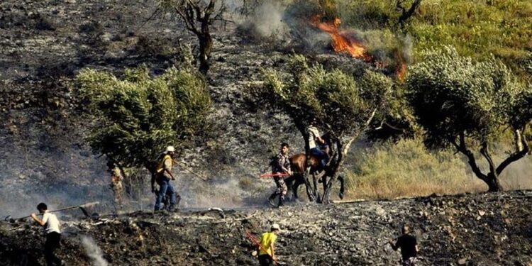 صیہونی آبادکاروں نے فلسطینیوں کے باغوں اور کھیتوں کو آگ لگادی