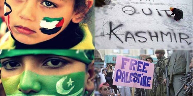 کشمیر اور فلسطین میں جاری انسانی حقوق کی خلاف ورزیاں عالمی برادری کے ضمیر پر دھبہ ہے، پاکستان