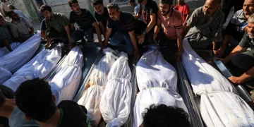 غزہ: پر صیہونی درندگی جاری، 724 بچوں 370 خواتین سمیت شہداء کی تعداد 2ہزار 2سو15 ہوگئی  