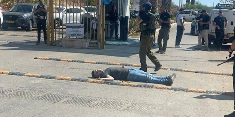 صیہونی فوج کی فائرنگ، ایک فلسطینی شہید متعدد زخمی