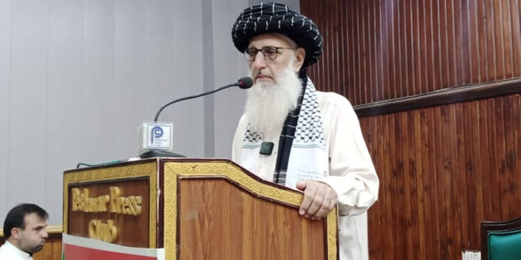 بذدل اسرائیل مقابلے کے بجائے بچوں اور عورتوں کو قتل کررہا ہے، پروفیسر محمد ابراہیم خان