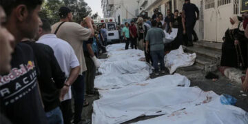 غزہ پر صیہونی دہشتگردی کا 33 واں روز، شہداء کی تعداد10 ہزار300 سے تجاوزکرگئی