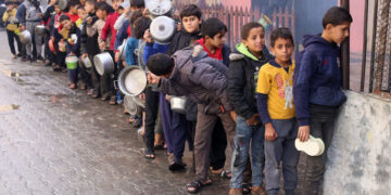 غزہ میں ہر چار میں سے ایک شخص بھوک سے مر رہا ہے، اقوام متحدہ