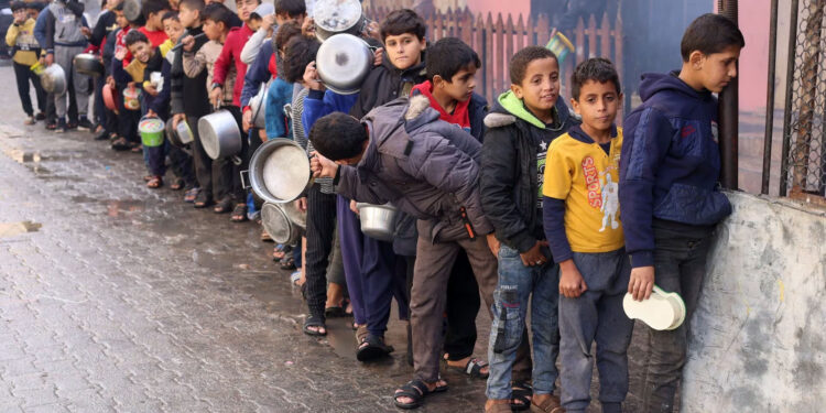 غزہ میں ہر چار میں سے ایک شخص بھوک سے مر رہا ہے، اقوام متحدہ