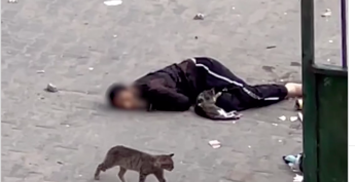 ناصر میڈیکل کمپلیکس: اسرائیلی اسنائپرز نے خاتون سمیت تین فلسطینیوں کو شہید کردیا