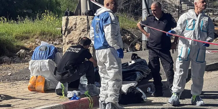 صیہونی دہشتگردی کا ردعمل: چاقو سے حملے میں دو اسرائیلی زخمی